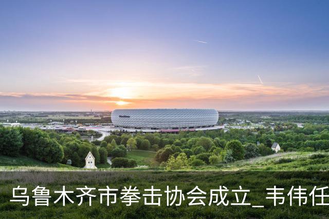 乌鲁木齐市拳击协会成立 韦伟任会长