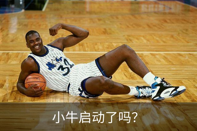 小牛启动了吗？
